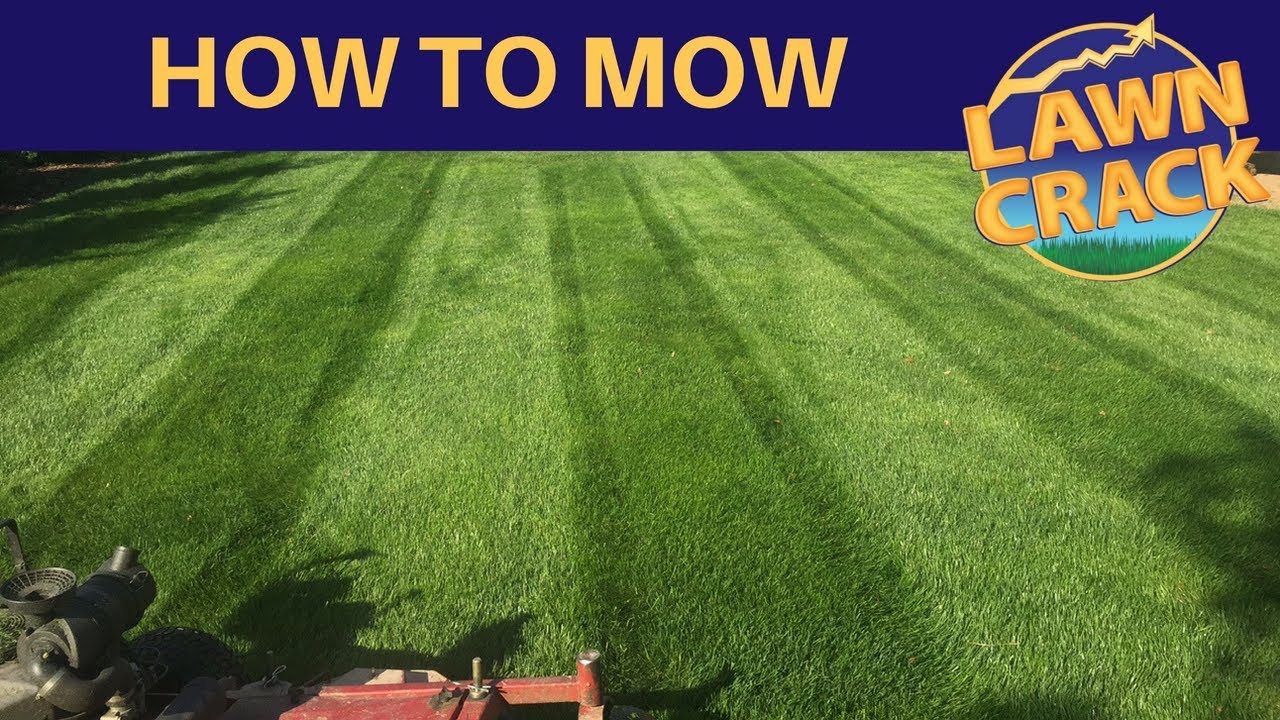 Lawn mowing techniques