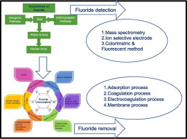 Image showing fluoride removal techniques